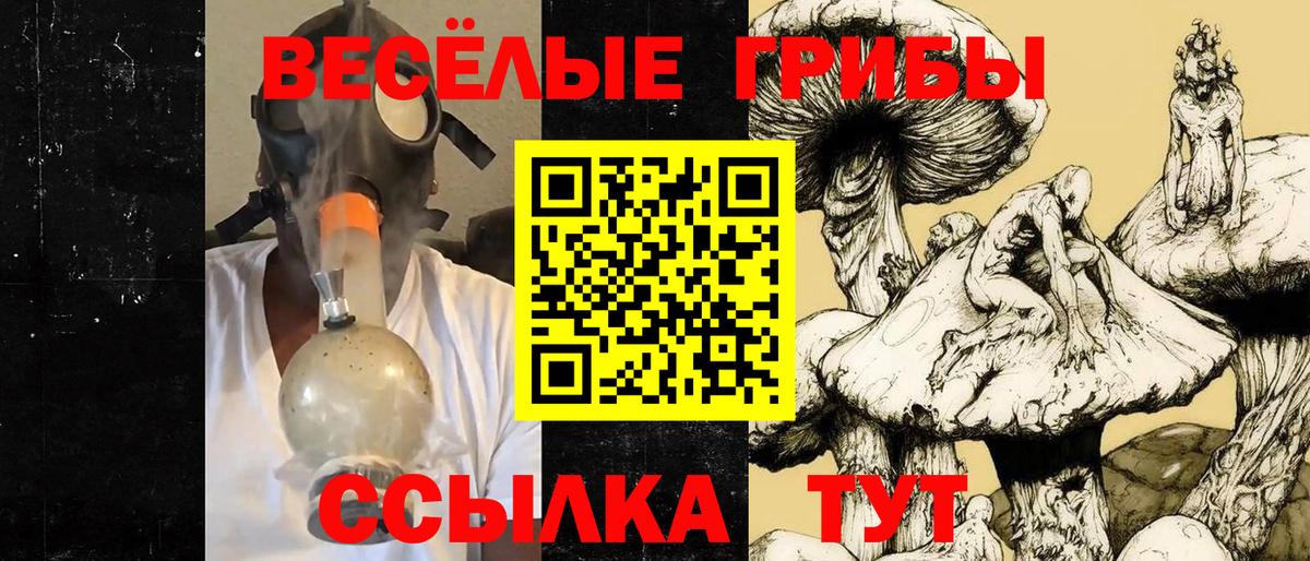 Гусь-Хрустальный  Галлюциногенные грибы мухоморы  Вход с VPN 