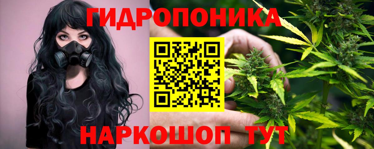 МАРИХУАНА THC 21%  Вход с VPN  Бошки марихуана Ganja  Канабис планчик  Гусь-Хрустальный  Бошки Шишки тримм 